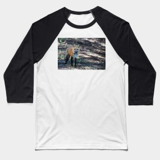 Wild and Free Baseball T-Shirt